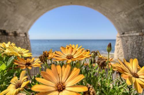 La Casa In Riva Al Mare
