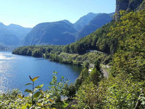 Bed & Breakfast Haus Salzkammergut