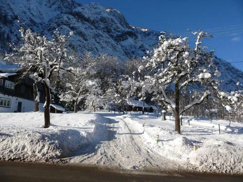 Bed & Breakfast Haus Salzkammergut