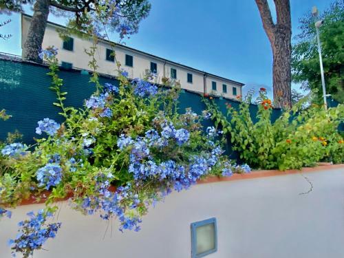 Apartamento Appartamento Di Lugi� Toscana
