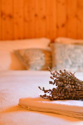 Bed And Breakfast Claudia