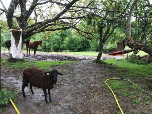 Un Petit Coin de Bonheur Au Ranch