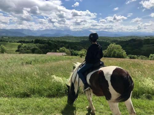 Un Petit Coin de Bonheur Au Ranch