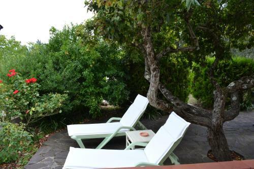 Agroturismo Podere Bellavista
