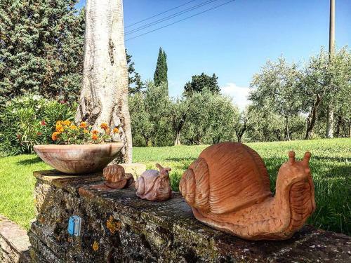 Agroturismo Podere Bellavista