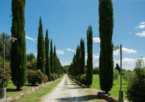 Villa Casa Viale Dei Cipressi