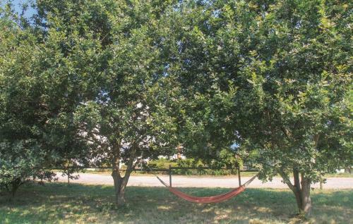 Apartamento Domaine La Dame Des Lys
