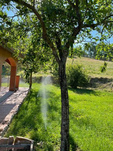 Luxury Villa Arianna