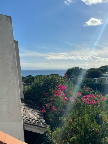 Casa Vacanze 'le Vele ' Stintino