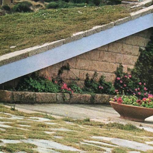 Villa Di Design Con Il Tetto Verde