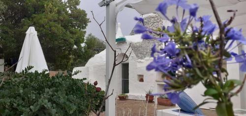 Estate Nel Trullo