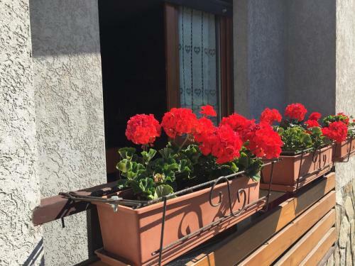 Residenza In Zona Pontedilegno T02034