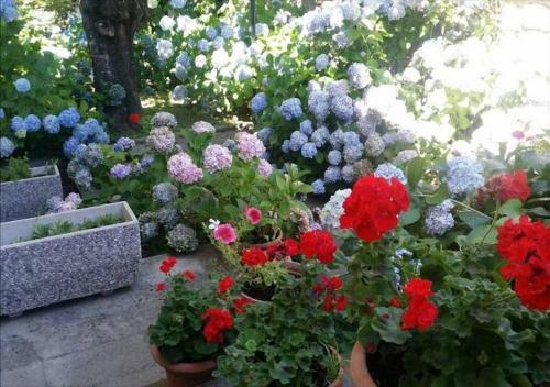 Apartamento La Villetta In Montagna