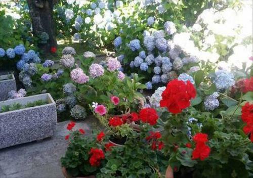 Apartamento La Villetta In Montagna