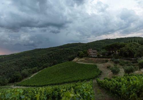 Villa Montemaggio By Mc Luxury Rentals