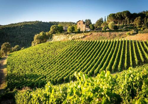 Villa Montemaggio By Mc Luxury Rentals