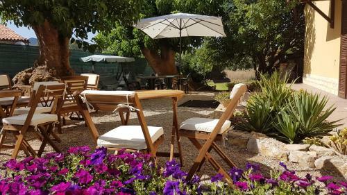 Hostal Affittacamere Pintadera