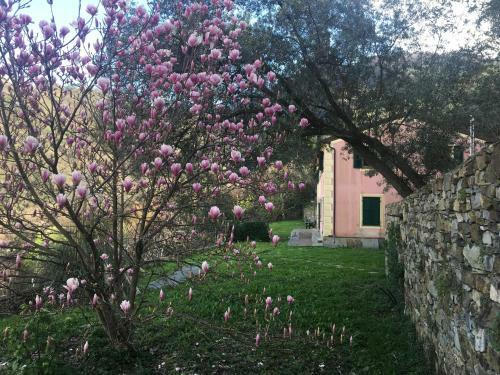 Apartamento Villa Olivari - Apt La Salvia