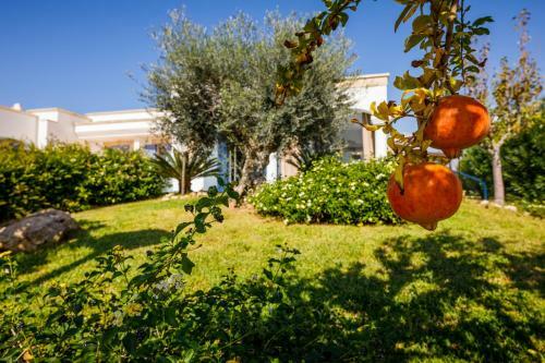 Apartamento Mare Villas Pescoluse