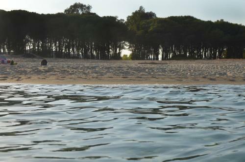 Apartamento Oasi Del Governatore