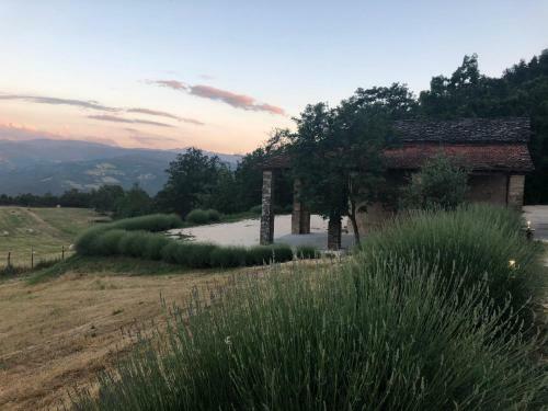 Apartamento Agriturismo Tenuta C� Di Bertucci
