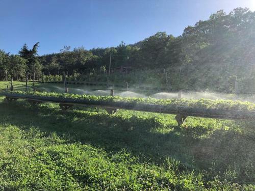 Apartamento Agriturismo Tenuta C� Di Bertucci