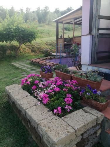 Agroturismo Agriturismo Campolungo