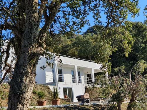 Apartamento Tra Montagne E Mare