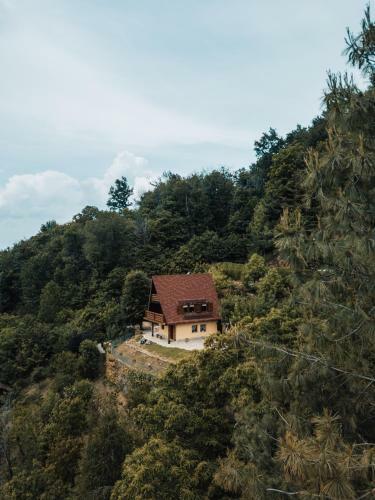 Chalet Alma