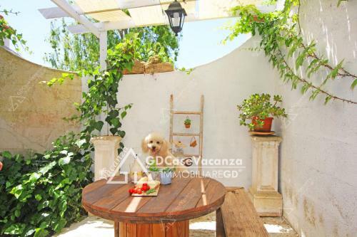 Apartamento Gd Case Vacanza - Villa Del Rio