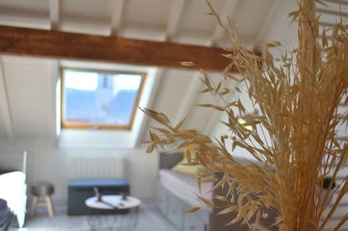 Apartamento Charmant Studio, Le Petit Gris Des Montagnes