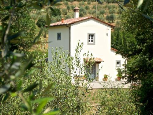 Pleasant Villa In Cortona With Private Swimming Pool