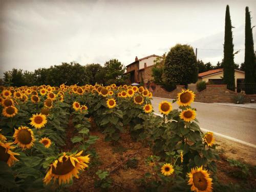 Apartamento Villa La Mucchia - Viola
