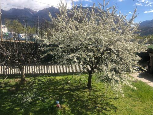 Apartamento Casa "la Bella Della Cappuccina"