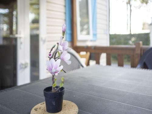Belles Vacances En Bord de Mer Dans Camping 4 Etoiles