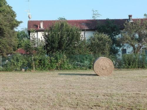 Bed & Breakfast Il Casolare Del Medio Olona