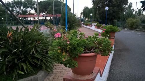 Residence Baia Blu Falcone
