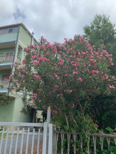 Apartamento Bilocale Vicino Al Mare