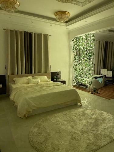 Nice Apartment For Daily Rent