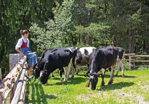 Agroturismo Niederhaeusererhof