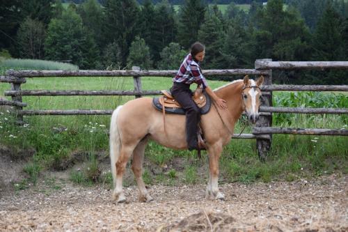 Agroturismo Niederhaeusererhof