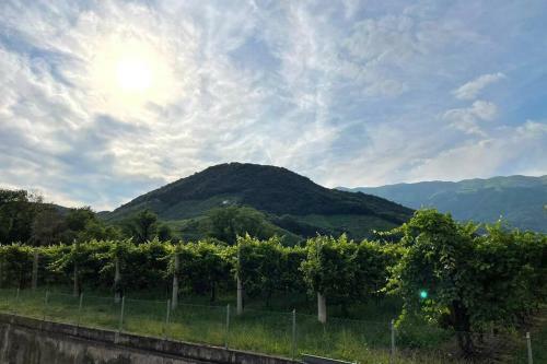 Apartamento Casa Di Caio Tra Le Colline Del Prosecco