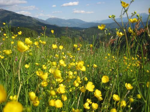 Apartamento Altes Pfarrhaus Altersberg