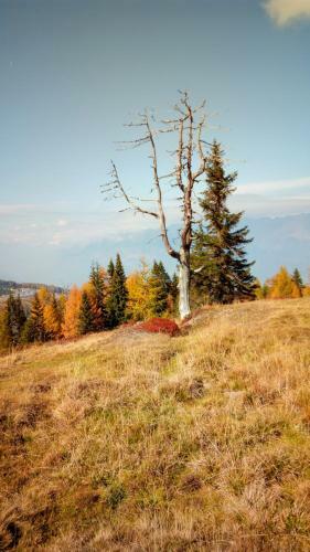 Apartamento Altes Pfarrhaus Altersberg
