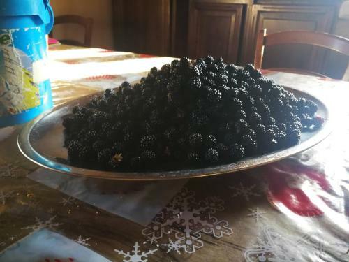 Bed & Breakfast Masseria Le Querciole