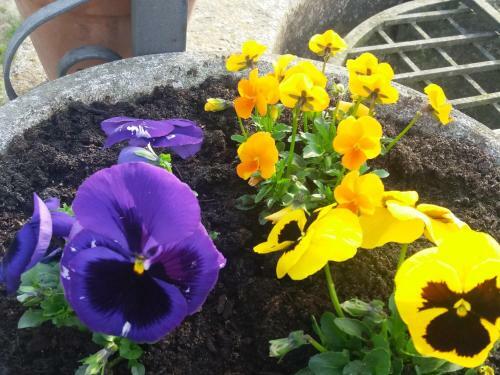 Bed & Breakfast R&b Un Mondo A Colori