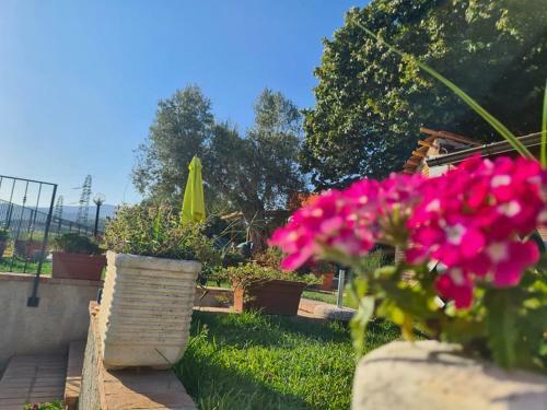 Hostal Il Colle Degli Ulivi
