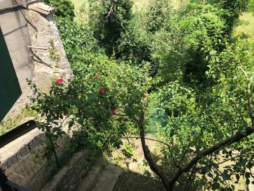 Apartamento Casina La Porticciola