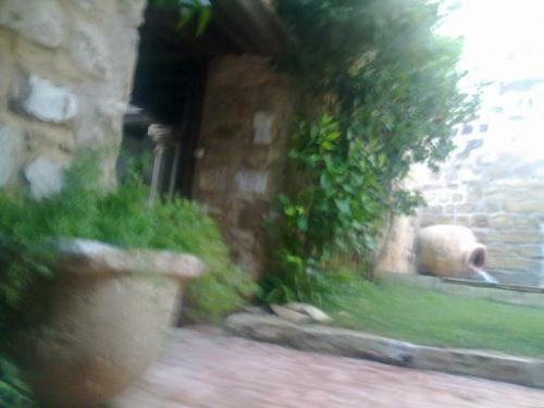 Apartamentos Tur�sticos El Losal