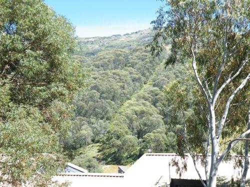 Apartamento Mowamba D2